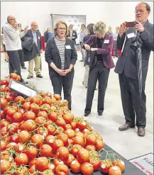  ?? STEVE BAKER ?? Golden Fresh Farms has built a 20-acre greenhouse in Wapakoneta near I-75 and U.S. 33. The groundbrea­king represents just one phase of the project, which will expand over the next several years. The company also operates farms in Canada and Mexico.