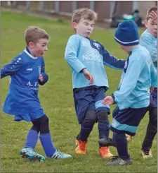  ??  ?? Action from under-8s clash of Ashford Rovers and Shillelagh Utd.