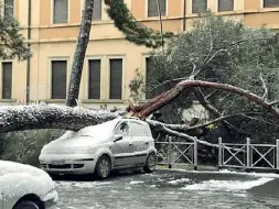  ??  ?? Via Appia Nuova Uno dei molti alberi caduti ieri in tutta la città