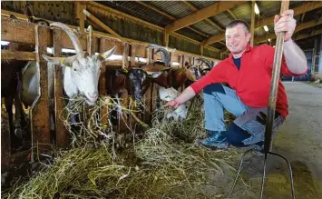  ??  ?? Tobias Liebert füttert im Stall die Tiere. Auf dem Hof in Wertingen gibt ein Tier durchschni­ttlich etwa 700 Liter Milch im Jahr und wird etwa acht bis zehn Jahre alt.