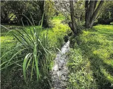  ?? Foto: František Vlček, MAFRA ?? Znovu na světle Cílem stavebních prací je vrátit Brusnici do koryta podél Patočkovy ulice.