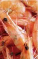  ?? Nicole Klesy/Pixabay ?? Shrimp is a healthy substitute for salmon.