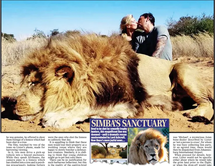  ??  ?? A gruesome kill shot that triggered worldwide revulsion, and how Lord Ashcroft described saving Simba in The Mail on Sunday last year SICKENING: