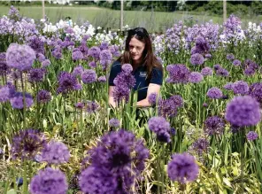  ?? Picture: JONATHAN BUCKMASTER ?? Jessica Roberts inspects her crop at Feathersto­ne’s Flower Farm, Hants