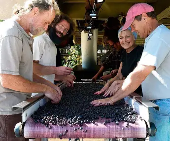  ??  ?? Right, from left: Jim Law, Jonathan Weber, Shari Avenius, Richard Boisseau at Linden Vineyards