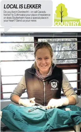  ??  ?? ANIMAL DOCTOR: Veterinari­an Dr Ayla Newmarch, who is doing her community service year in Stutterhei­m, operates on an animal