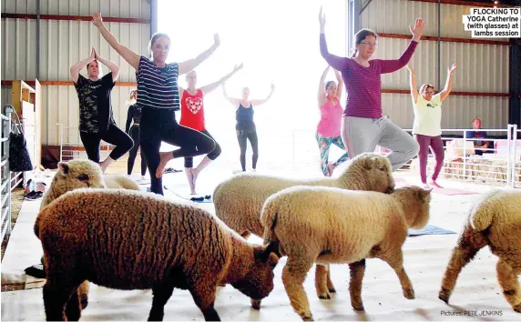  ?? Pictures: PETE JENKINS ?? FLOCKING TO YOGA Catherine (with glasses) at lambs session