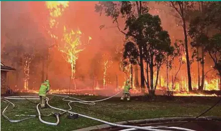  ?? AFP PIC ?? Firemen tackling a bushfire in Holdsworth­y, south of Sydney, on Sunday.