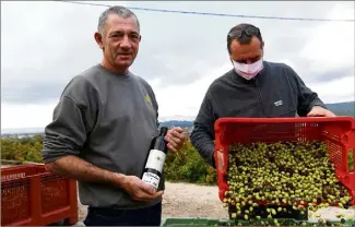  ?? (Photos Sophie Louvet) ?? Une bouteille d’huile d’olive de son moulin à la main, Denis Pietri, supervise l’apport des olives.