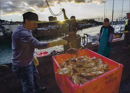  ?? KARL MONDON – STAFF ARCHIVES ?? This year’s Dungeness crab season was supposed to start Dec. 23, but was delayed due to price negotiatio­ns between crab fishermen and seafood processing companies.