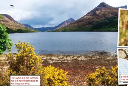  ?? ?? This whin on the lochside would have been used to create green dyes.