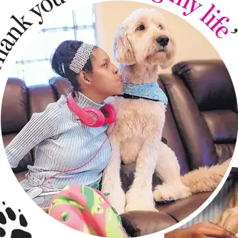  ?? RYAN GARZA/DETROIT FREE PRESS ?? Kiara Williamson, 23, sits with her service dog Diego at her home in Southfield, Mich. Williamson, who has cerebral palsy, Cri du chat syndrome and seizure disorder, uses Diego to help with tasks and alert her mother when she is having seizures.