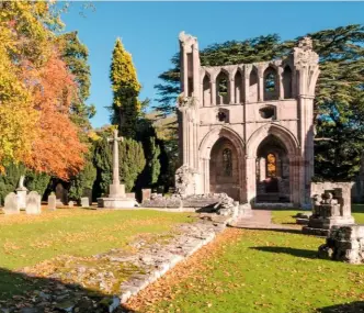  ??  ?? The ruins of Dryburgh Abbey surrounded by gently glowing autumn colours.