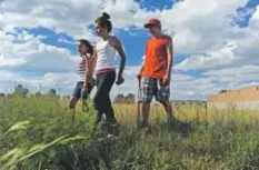  ?? Callaghan O'Hare, The Denver Post ?? Tall grass makes for a formidable opponent for, from left, MaKayla, Lily and Santiago Cortez as they seek one that got hit too far.