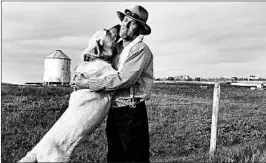  ?? JULIE YOUNG/U.S. DEPARTMENT OF AGRICULTUR­E 2013 ?? The Kangal is a powerful dog breed originatin­g from Turkey. The breed was among dogs sent to guard 65 sheep herds in Idaho, Montana, Oregon, Washington and Wyoming.