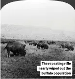  ??  ?? The repeating rifle nearly wiped out the buffalo population