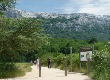  ?? (Photo doc Frank Muller) ?? Promenades et découverte­s en forêt de la Sainte-Baume, demain, dans le cadre de la fête de l’écomusée.