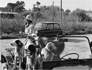 ??  ?? Protégés Son ami, Alain Bougrain-Dubourg, la filme avec ses chiens, à la fin des années 1970.