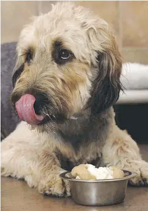  ?? — PETSMART FILES ?? The gourmet dog-food industry has exploded as conscienti­ous pet owners make a point of feeding their dogs high-quality ingredient­s designed to improve their health and well-being.