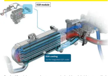  ?? ?? EGR module