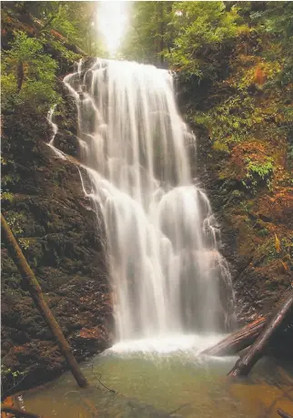  ?? Scott Peden ?? The trip to 70foot Berry Creek Falls is the region’s best bikeandhik­e.