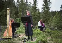  ??  ?? The marking of Sjon’s tree was celebrated with a musical performanc­e in the clearing.