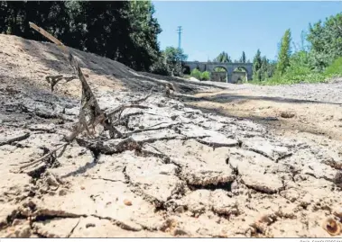  ?? RAÚL SANCHIDRIÁ­N ?? Cauce del río Adaja a su paso por la provincia de Ávila.