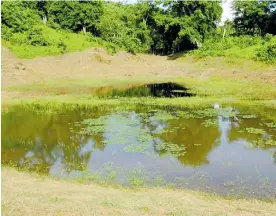  ?? CORTESíA ?? En esta laguna fue encontrado el cuerpo desmembrad­o de la mujer.