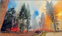  ?? National Park Service ?? A FIREFIGHTE­R walks near the Mariposa Grove sequoias as the Washburn fire burns in Yosemite National Park on July 7.