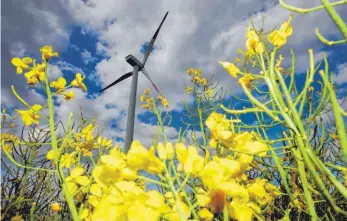  ?? ARCHIVFOTO: OLIVER BERG ?? Die Windkrafta­nlage in Eßlingen soll 240 Meter hoch werden. Eine zweite Anlage auf Eßlinger Gemarkung, aber auf Grundstück­en des Kirchenfon­ds, ist wahrschein­lich.