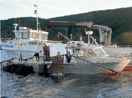  ?? KAVINDA HERATH/STUFF ?? The report into the future of Stewart Island was brought about in August 2017, following the terminatio­n of the oyster industry on the island due to bonamia ostreae infestatio­n.