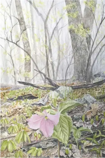 ?? ?? At Middle Street, Phyllis Northup’s watercolor­s capture signs of spring.