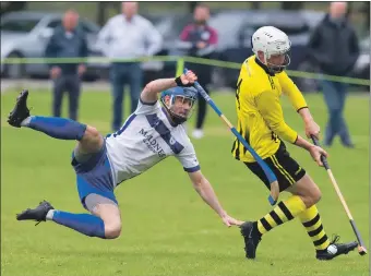  ?? Photograph: Stephen Lawson. ?? Calum McLay, Glasgow Mid Argyll, takes a tumble as Hamish McLennan, Inveraray, controls the ball.