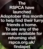  ?? ?? The RSPCA have launched Adoptober this month to help find their furry friends a home. To see any of the animals available for rehoming visit rspca.org.uk/ findapet