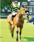  ??  ?? Hat-trick hopeful. Mike Azzie-trained Russian Prince looks very hard to beat at the Vaal today.