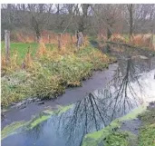  ?? FOTO: KREIS WESEL ?? Diese Aufnahme des Kreises Wesel zeigt die Verunreini­gung des Gewässers: Die schwarzen Ablagerung­en sind Spuren der Gülle.