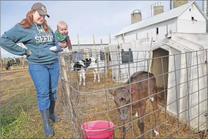  ?? / MSEARS@JOURNALSEN­TINEL.COM ?? Carrie Mess holds her son Silas, 7 months, as mother and son look in on a calf named Pickle.