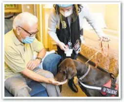  ??  ?? Top: Jeff Philipson loves it when Hebrew Home at Riverdale staffer Kate DelPizzo brings Zeus over. Above: Kida makes nice with Sal Gonzales.