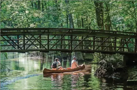  ?? CONTRIBUTE­D BY EXPERIENCE COLUMBIA SC ?? Get out and get active at the 26,000-acre Congaree National Park, an ideal setting for late-summer paddling, hiking and bird watching.