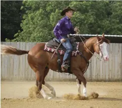  ??  ?? LEFT: Ranch riding spins. With a shorter timeframe to get in motion and then stop where designated, my horse must respond to my turn cue quickly and willingly. RIGHT: Reining spins. My horse has more time to wind up and lock into a cadence for multiple...