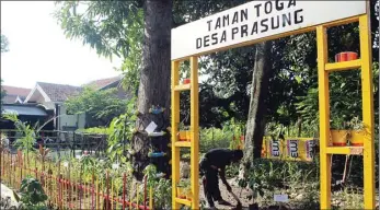  ?? NUR KHOTIB/ JAWA POS ?? ANDALAN
WARGA: Taman toga di RT 2, RW 1, Desa Prasung
diikutkan lomba tingkat
kabupaten.