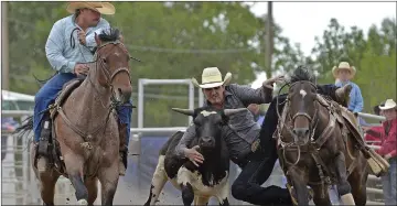  ?? SCOTT ANDERSON/SOUTHWEST BOOSTER ?? Harrison Hantelman earned fourth place money in the steer wrestling event at the 43rd annual Kyle Community Rodeo.