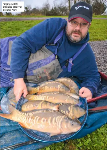  ??  ?? Pinging pellets produced plenty of bites for Mark