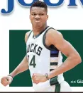  ??  ?? << Giannis Antetokoun­mpo