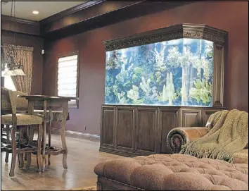 I think it added a bit of Hawaii into our home, said Anaheim Angels player Shane  Victorino of his new aquarium in his Red Rock Country Club home. DAVID  REISMAN/REAL ESTATE MILLIONS