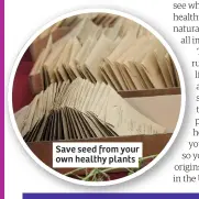  ??  ?? Save seed from your own healthy plants