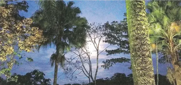  ?? — PHOTOS: LISA TONFORTON ?? A moonlit view from the Sarapiqui’s Rainforest Lodge. The Sarapiqui region is home to bountiful beauty and wildlife.