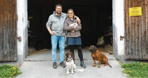  ?? Foto: Philipp Schulte ?? „Bauer sucht Frau“: Stephan Finkenzell­er und Steffi Lüdge haben sich im vorigen Jahr über die RTL-Sendung kennengele­rnt. Jetzt leben sie auf dem Bauernhof in Sielenbach­Raderstett­en. Lüdge ist zu ihrem Verlobten gezogen.