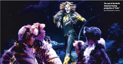  ?? MATTHEW MURPHY PHOTOS ?? The cast of the North American touring production of “Cats.”