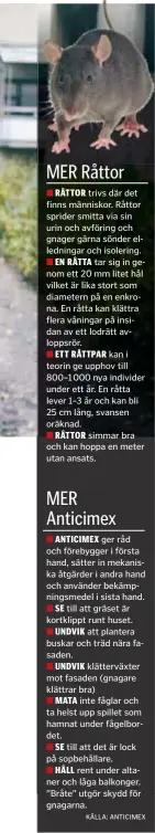  ??  ?? trivs där det finns människor. Råttor sprider smitta via sin urin och avföring och gnager gärna sönder elledninga­r och isolering.
tar sig in genom ett 20 mm litet hål vilket är lika stort som diametern på en enkrona. En råtta kan klättra flera...